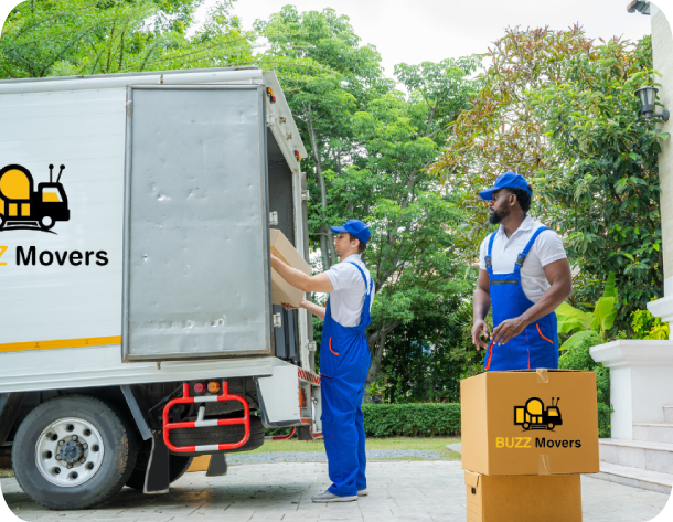 About buzz Movers 2